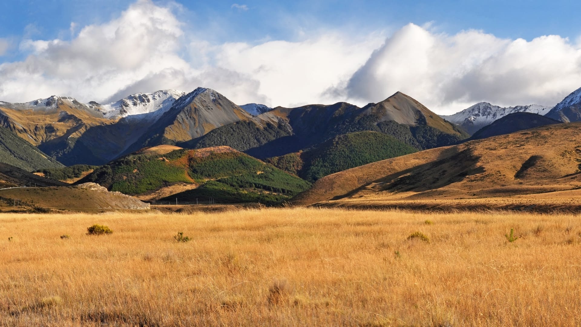 Digital Marketing Agency